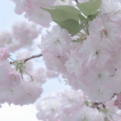 兽设森林场景创作福瑞群